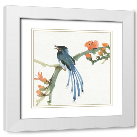 Formosan Blue Magpie White Modern Wood Framed Art Print with Double Matting by Paschke, Chris