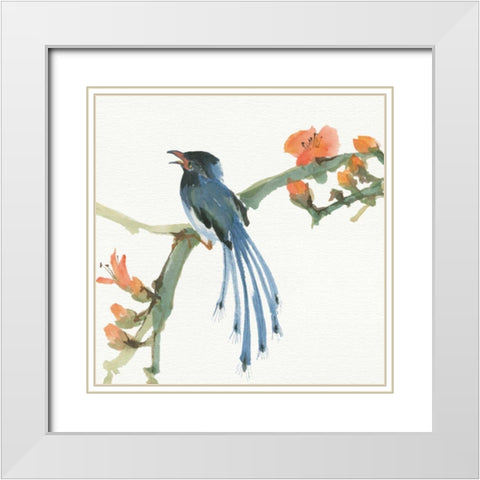 Formosan Blue Magpie White Modern Wood Framed Art Print with Double Matting by Paschke, Chris