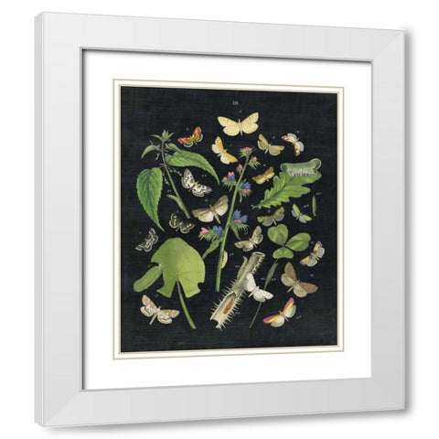 Butterfly Bouquet on Black III White Modern Wood Framed Art Print with Double Matting by Wild Apple Portfolio