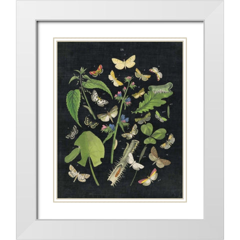 Butterfly Bouquet on Black III White Modern Wood Framed Art Print with Double Matting by Wild Apple Portfolio