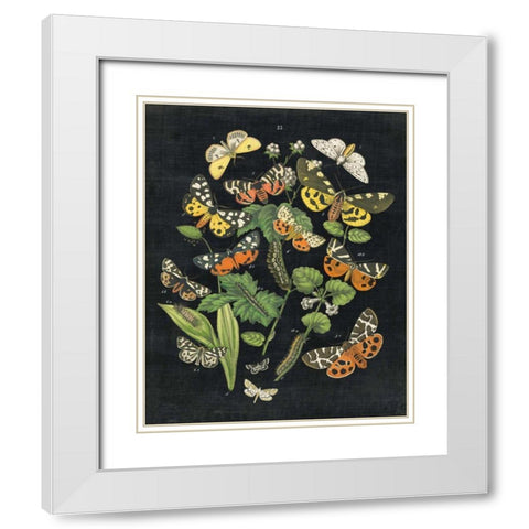 Butterfly Bouquet on Black IV White Modern Wood Framed Art Print with Double Matting by Wild Apple Portfolio