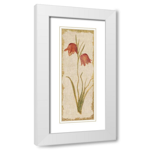 Red Tulip Panel on White Vintage White Modern Wood Framed Art Print with Double Matting by Blum, Cheri