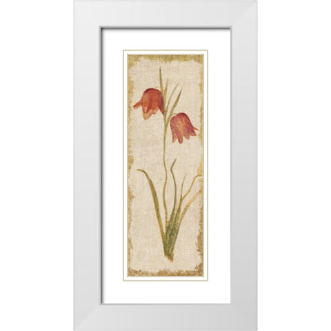 Red Tulip Panel on White Vintage White Modern Wood Framed Art Print with Double Matting by Blum, Cheri