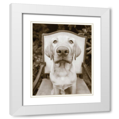 Sitting White Modern Wood Framed Art Print with Double Matting by Dratfield, Jim