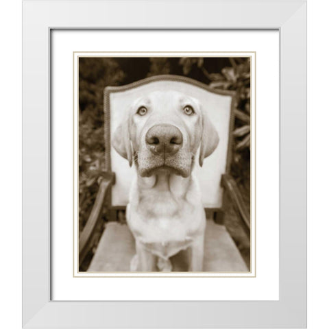 Sitting White Modern Wood Framed Art Print with Double Matting by Dratfield, Jim