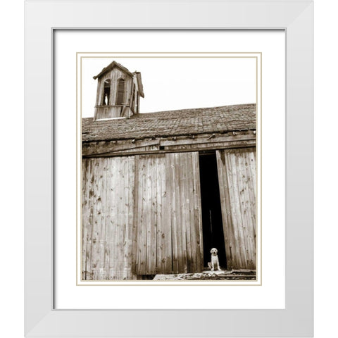 Barnyard Dog White Modern Wood Framed Art Print with Double Matting by Dratfield, Jim