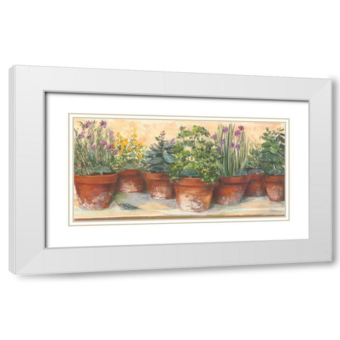 Country Herbs White Modern Wood Framed Art Print with Double Matting by Rowan, Carol