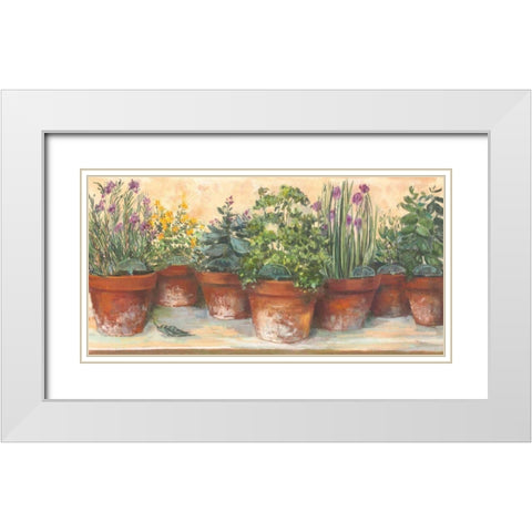 Country Herbs White Modern Wood Framed Art Print with Double Matting by Rowan, Carol