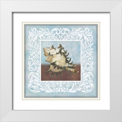 Sandy Shells Blue Spikey White Modern Wood Framed Art Print with Double Matting by Grove, Beth