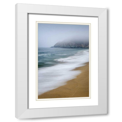 Gray Whale Cove White Modern Wood Framed Art Print with Double Matting by Majchrowicz, Alan