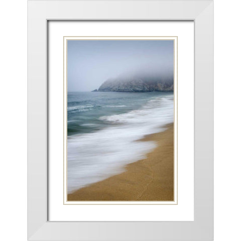 Gray Whale Cove White Modern Wood Framed Art Print with Double Matting by Majchrowicz, Alan
