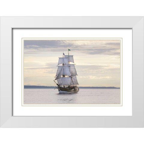 Lady Washington II White Modern Wood Framed Art Print with Double Matting by Majchrowicz, Alan