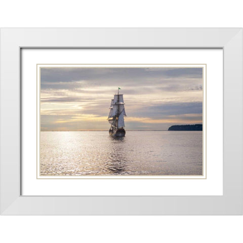 Lady Washington III White Modern Wood Framed Art Print with Double Matting by Majchrowicz, Alan