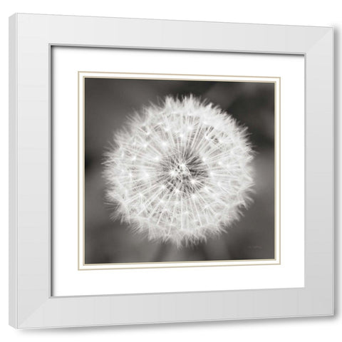 Dandelion Seedhead White Modern Wood Framed Art Print with Double Matting by Audit, Lisa