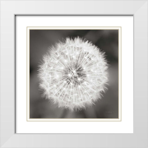 Dandelion Seedhead White Modern Wood Framed Art Print with Double Matting by Audit, Lisa