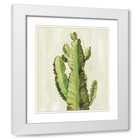 Front Yard Cactus II White Modern Wood Framed Art Print with Double Matting by Vassileva, Silvia