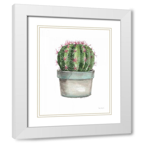 Mixed Greens Succulent II White Modern Wood Framed Art Print with Double Matting by Audit, Lisa