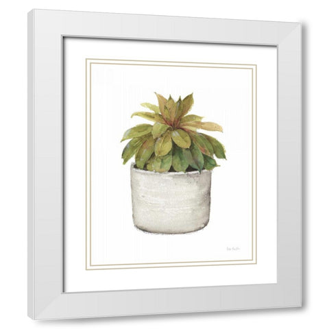 Mixed Greens Succulent III White Modern Wood Framed Art Print with Double Matting by Audit, Lisa