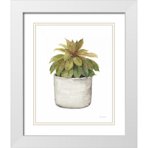 Mixed Greens Succulent III White Modern Wood Framed Art Print with Double Matting by Audit, Lisa