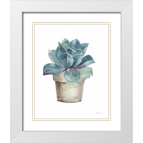 Mixed Greens Succulent IV White Modern Wood Framed Art Print with Double Matting by Audit, Lisa