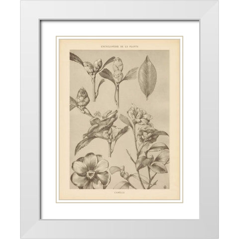 Lithograph Florals II White Modern Wood Framed Art Print with Double Matting by Wild Apple Portfolio