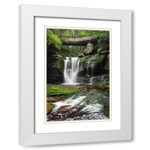 Elakala Falls West I White Modern Wood Framed Art Print with Double Matting by Majchrowicz, Alan