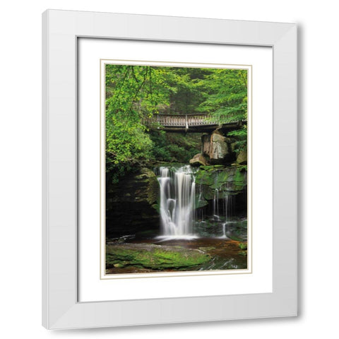 Elakala Falls West II White Modern Wood Framed Art Print with Double Matting by Majchrowicz, Alan