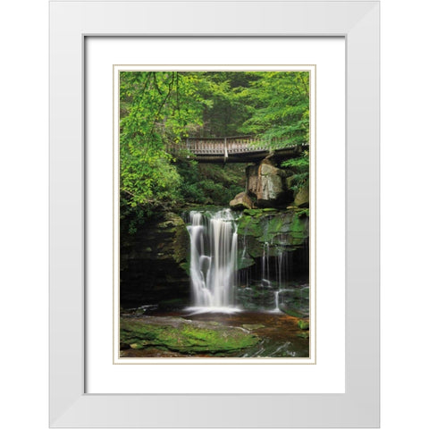 Elakala Falls West II White Modern Wood Framed Art Print with Double Matting by Majchrowicz, Alan