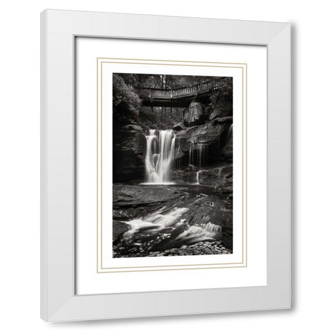 Elakala Falls West I BW White Modern Wood Framed Art Print with Double Matting by Majchrowicz, Alan
