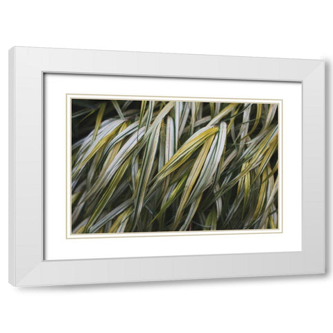 Leafy III White Modern Wood Framed Art Print with Double Matting by Urquhart, Elizabeth