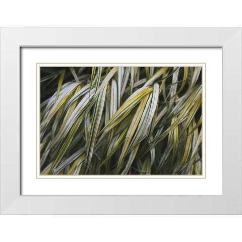 Leafy III White Modern Wood Framed Art Print with Double Matting by Urquhart, Elizabeth