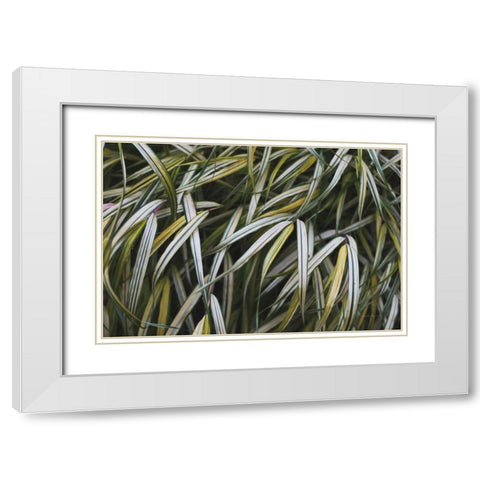 Leafy IV White Modern Wood Framed Art Print with Double Matting by Urquhart, Elizabeth