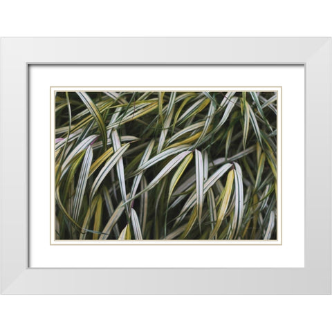 Leafy IV White Modern Wood Framed Art Print with Double Matting by Urquhart, Elizabeth