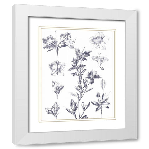 Lithograph Florals I Blue White Modern Wood Framed Art Print with Double Matting by Wild Apple Portfolio