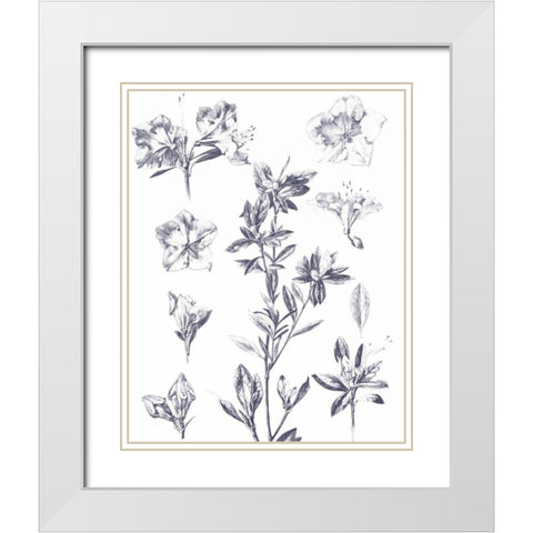 Lithograph Florals I Blue White Modern Wood Framed Art Print with Double Matting by Wild Apple Portfolio