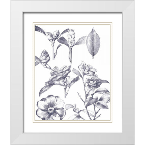 Lithograph Florals II Blue White Modern Wood Framed Art Print with Double Matting by Wild Apple Portfolio