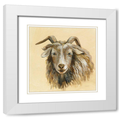 Highland Animal Sheep White Modern Wood Framed Art Print with Double Matting by Vassileva, Silvia