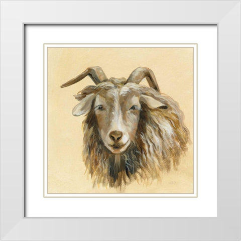 Highland Animal Sheep White Modern Wood Framed Art Print with Double Matting by Vassileva, Silvia