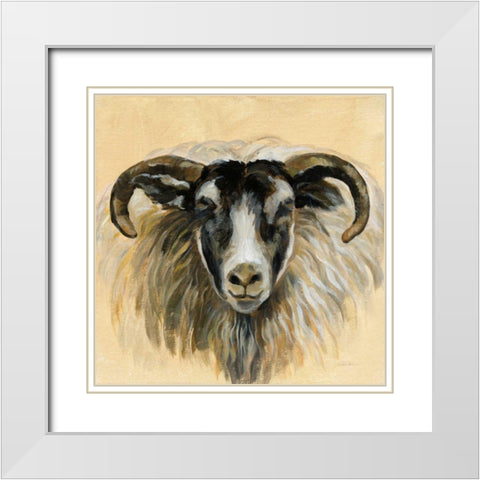Highland Animal Ram White Modern Wood Framed Art Print with Double Matting by Vassileva, Silvia