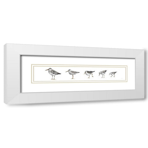 Pebbles and Sandpipers IX Gray No Words Border White Modern Wood Framed Art Print with Double Matting by Audit, Lisa