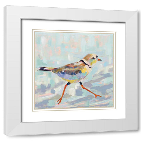 Coastal Plover I Neutral White Modern Wood Framed Art Print with Double Matting by Vertentes, Jeanette