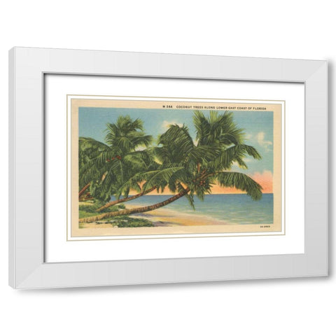 Florida Postcard III White Modern Wood Framed Art Print with Double Matting by Wild Apple Portfolio