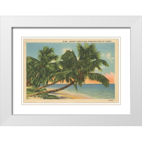 Florida Postcard III White Modern Wood Framed Art Print with Double Matting by Wild Apple Portfolio