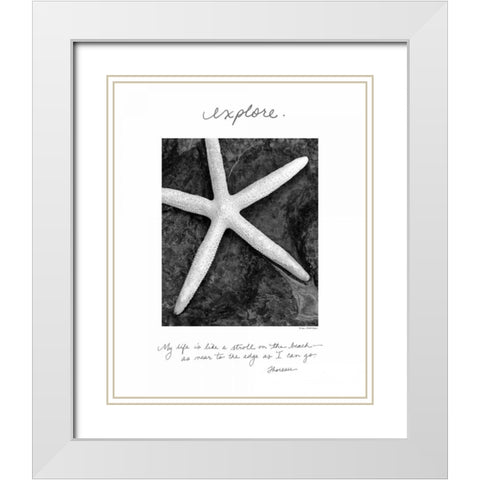 Explore White Modern Wood Framed Art Print with Double Matting by Van Swearingen, Debra