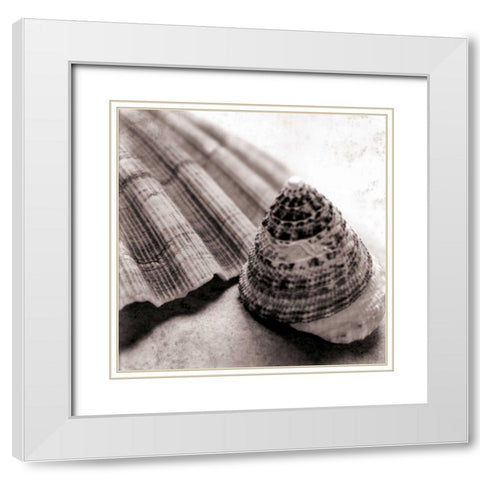 Gifts from the Sea Square White Modern Wood Framed Art Print with Double Matting by Schlabach, Sue