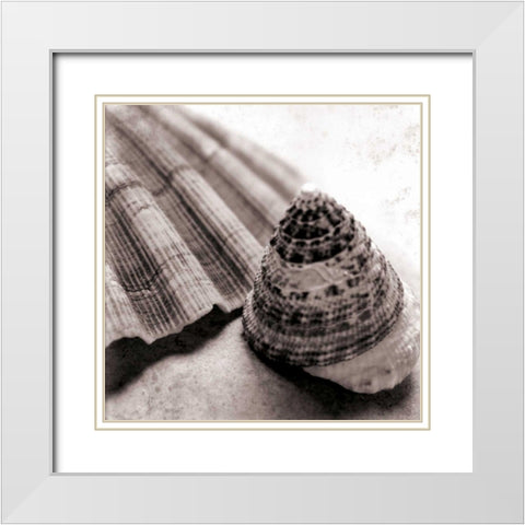 Gifts from the Sea Square White Modern Wood Framed Art Print with Double Matting by Schlabach, Sue