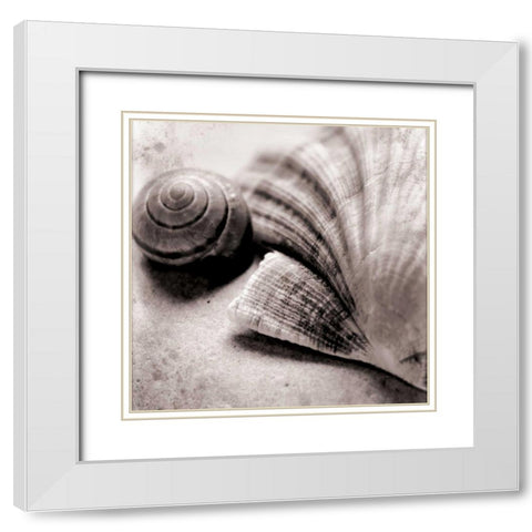 Ocean Treasures Square White Modern Wood Framed Art Print with Double Matting by Schlabach, Sue