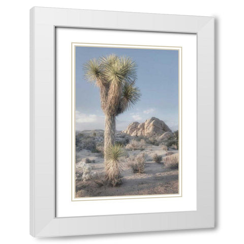 Joshua Tree National Park I White Modern Wood Framed Art Print with Double Matting by Majchrowicz, Alan