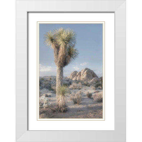Joshua Tree National Park I White Modern Wood Framed Art Print with Double Matting by Majchrowicz, Alan