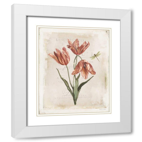 Antiquarian Blooms III White Modern Wood Framed Art Print with Double Matting by Pertiet, Katie